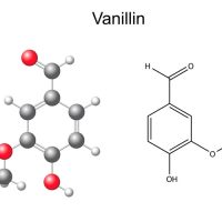 Vanillin 10 (PG) 15ml
