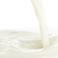 Malted Milk (Conc) 15ml